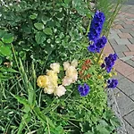 Ferien-apartment By Interhome Apartment Kressbronn am Bodensee
