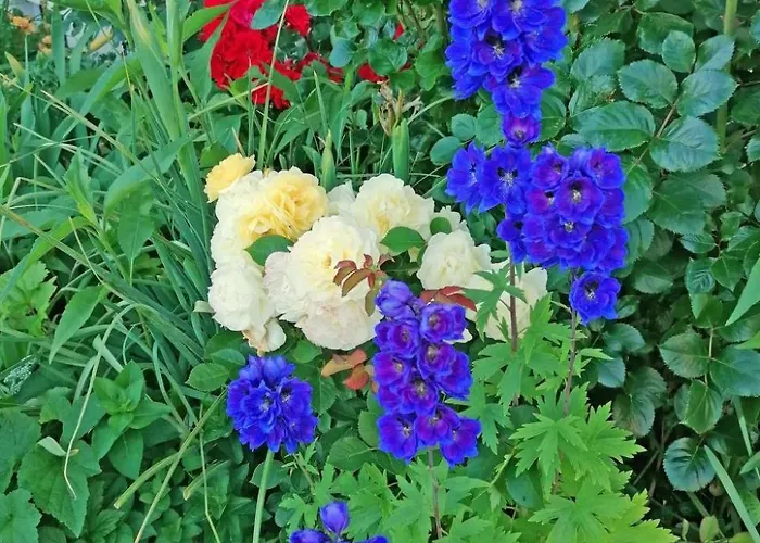 Ferien-apartment By Interhome