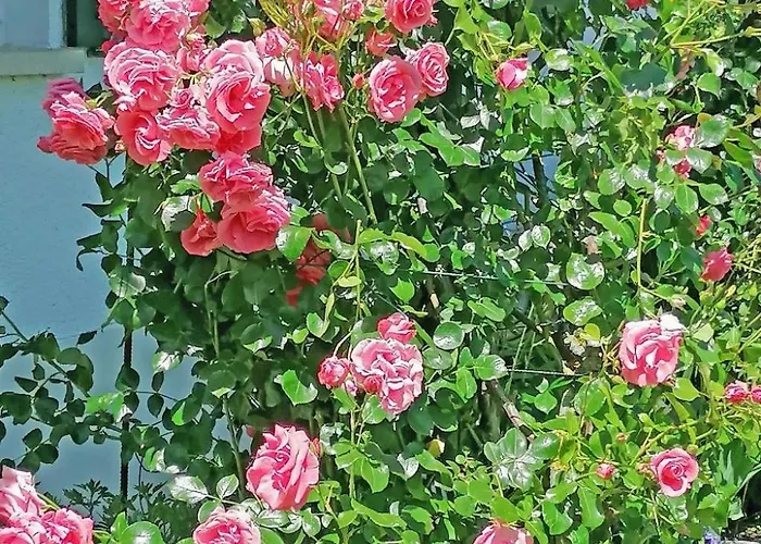 Daire Ferien-apartment By Interhome *