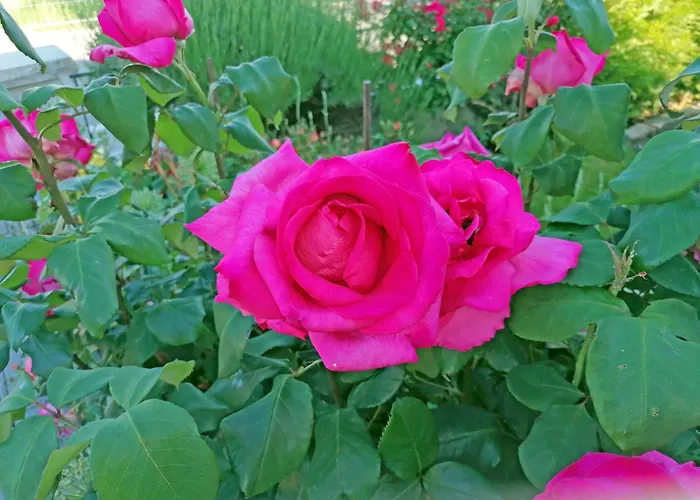 Ferien-apartment By Interhome Daire *