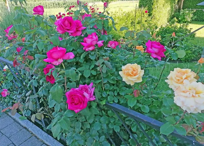 Ferien-apartment By Interhome Apartamento Kressbronn am Bodensee