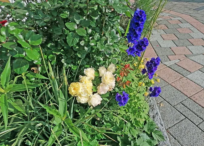 Ferien-apartment By Interhome Apartamento Kressbronn am Bodensee