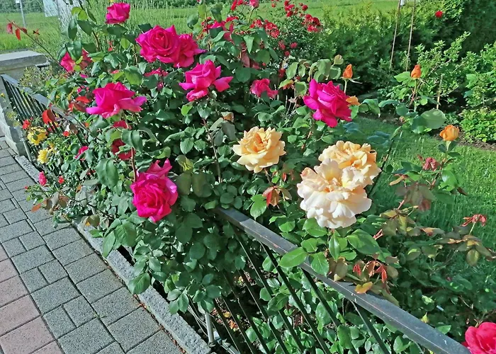 Daire Ferien-apartment By Interhome