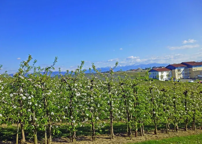 Ferien-apartment By Interhome *