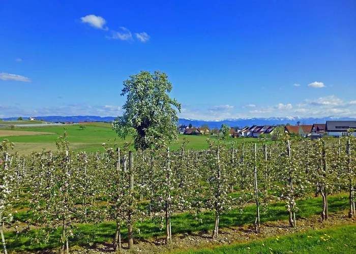 Ferien-apartment By Interhome